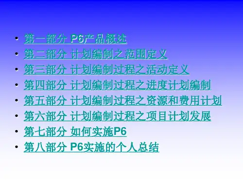 P6培训资料