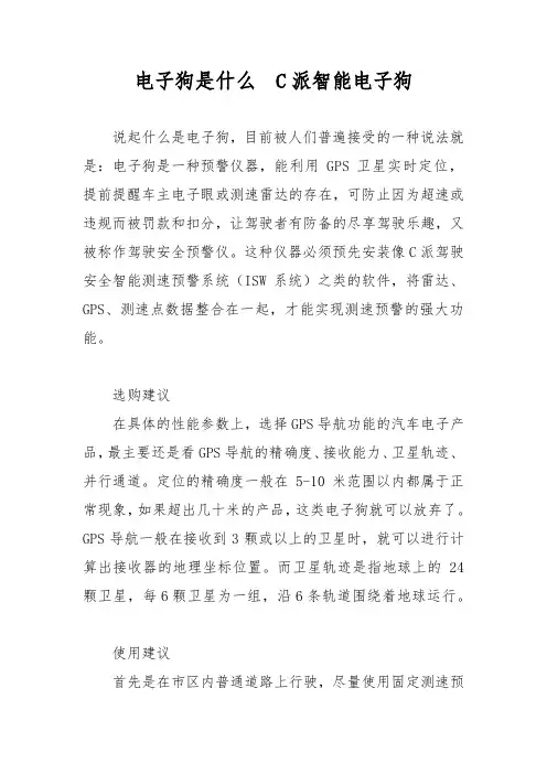 电子狗是什么