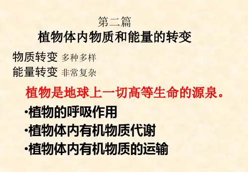 植物生理学04呼吸作用