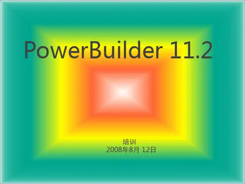 PB11简介PPT课件