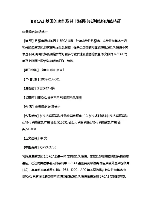 BRCA1基因的功能及其上游调控序列结构功能特征