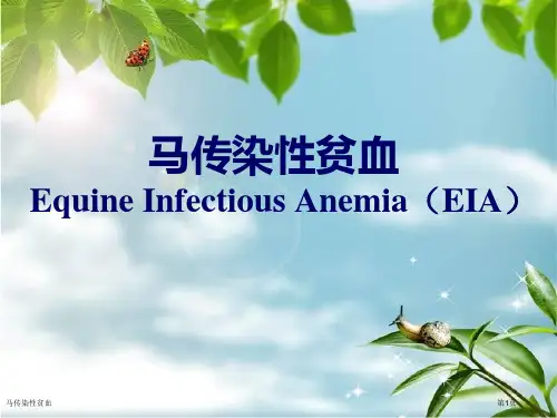 马传染性贫血