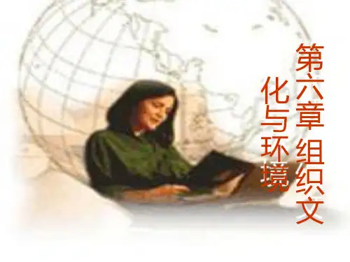 组织文化与环境-PPT课件