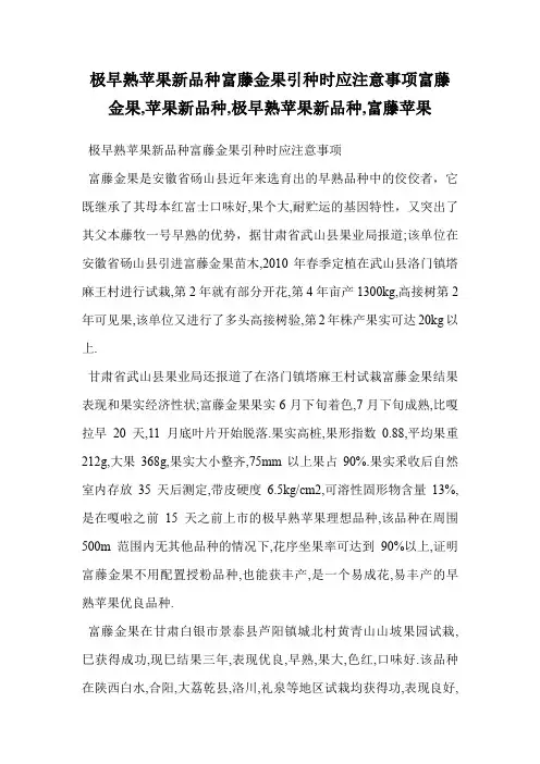 极早熟苹果新品种富藤金果引种时应注意事项富藤金果,苹果新品种,极早熟苹果新品种,富藤苹果
