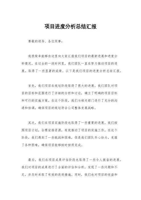 项目进度分析总结汇报