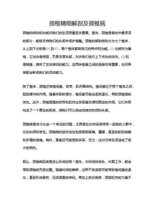 颈椎精细解剖及颈椎病