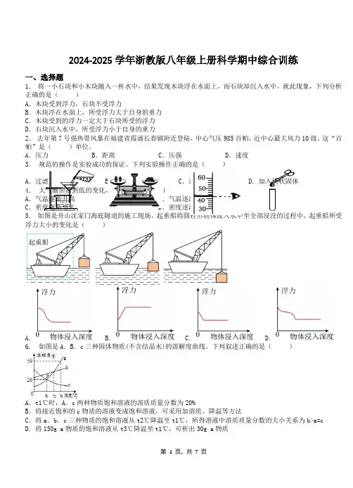 2024-2025学年浙教版八年级上册科学期中综合训练