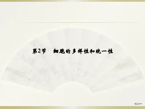 人教版高中生物必修1第1章第2节 细胞的多样性和统一性课件(4)