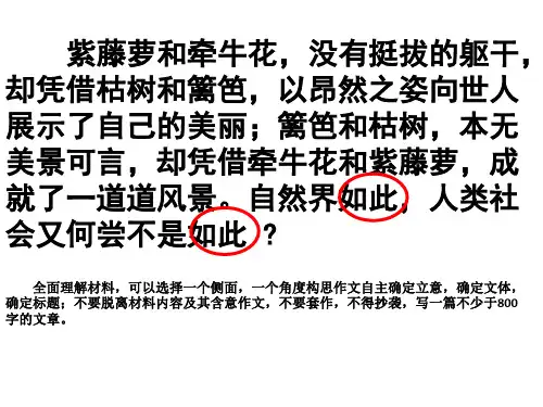 紫藤萝和牵牛花