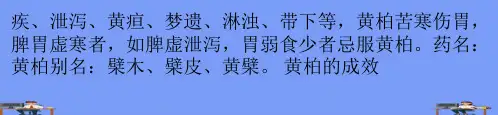 黄柏的功效与作用完美版PPT