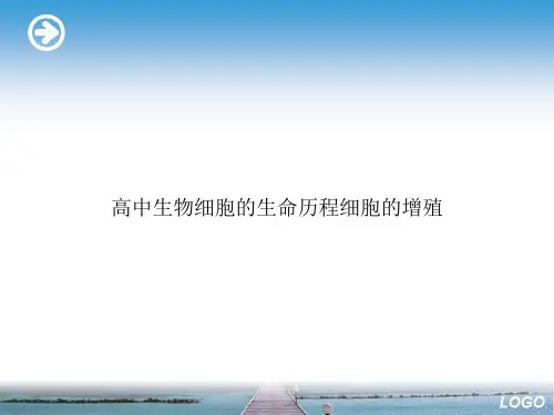 高中生物细胞的生命历程细胞的增殖演示文档