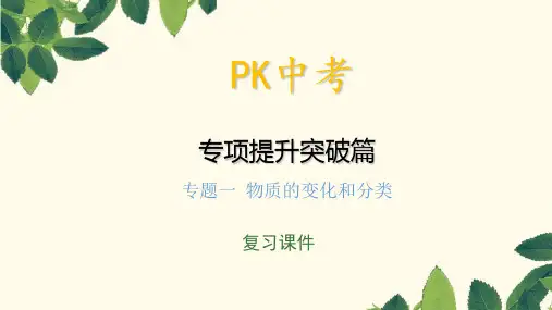 中考化学(安徽专用)总复习课件专题一 物质的变化和分类 (共24张PPT)