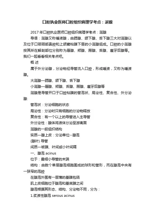口腔执业医师口腔组织病理学考点：涎腺