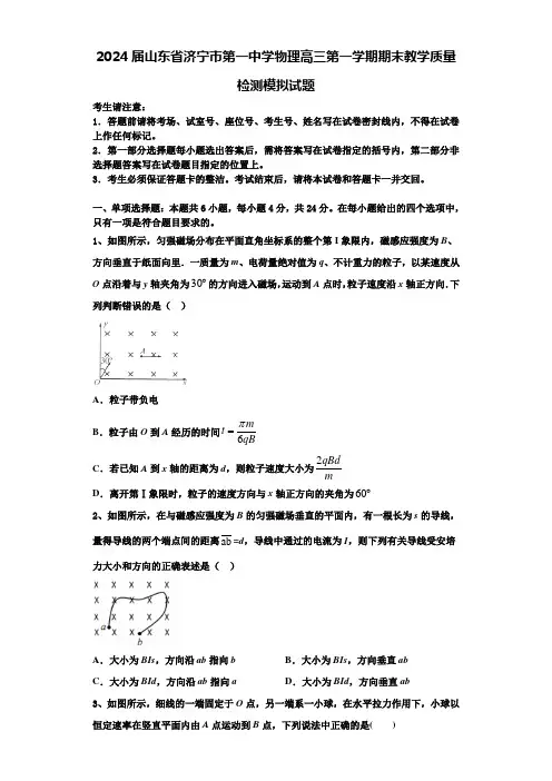 2024届山东省济宁市第一中学物理高三第一学期期末教学质量检测模拟试题含解析