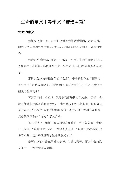 生命的意义-中考作文(精选4篇)