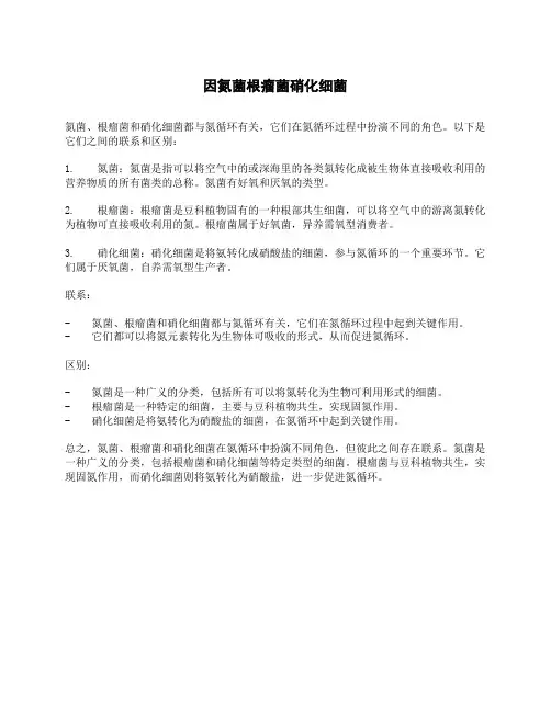 因氮菌根瘤菌硝化细菌