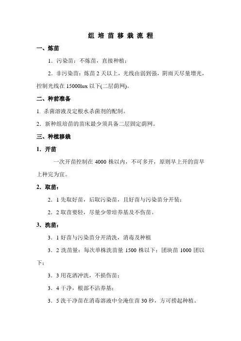 组培苗种植流程
