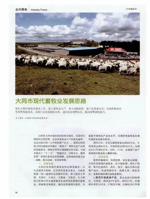 大同市现代畜牧业发展思路