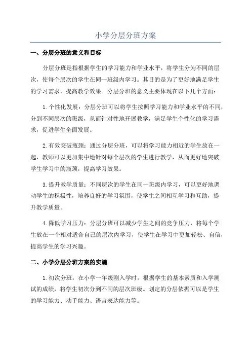 小学分层分班方案