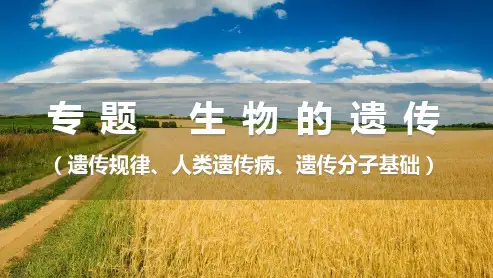 【高中生物】2023届高考生物专题复习 生物的遗传(规律、遗传病、分子基础)
