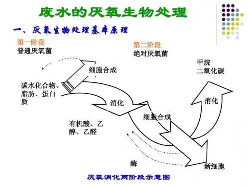 厌氧生物处理