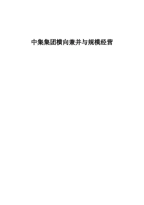 中集集团横向兼并与规模经营