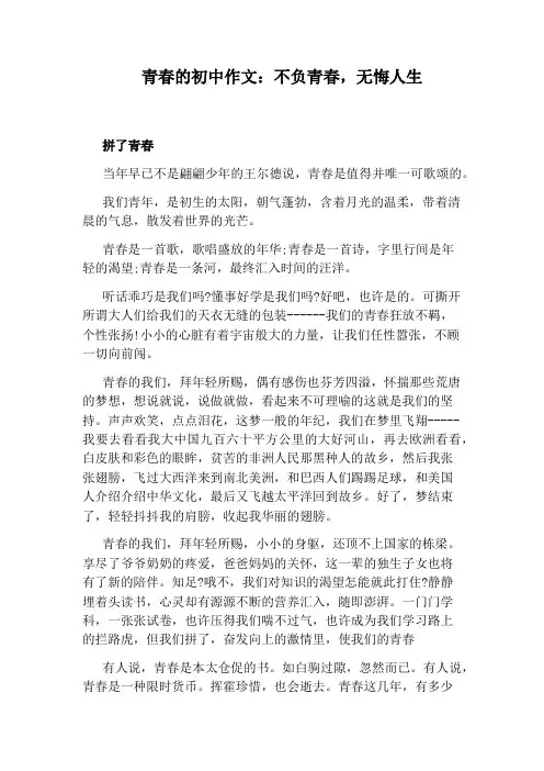 青春的初中作文：不负青春,无悔人生