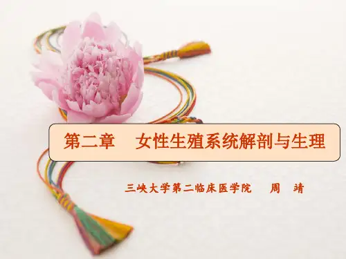 女性生殖系统解剖生理ppt课件
