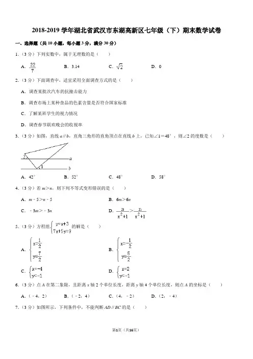 2018-2019学年湖北省武汉市东湖高新区七年级(下)期末数学试卷