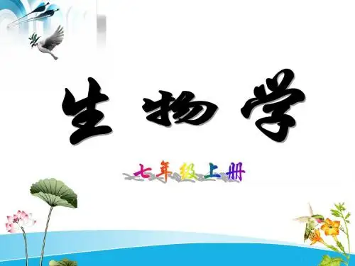 动物体的结构层次