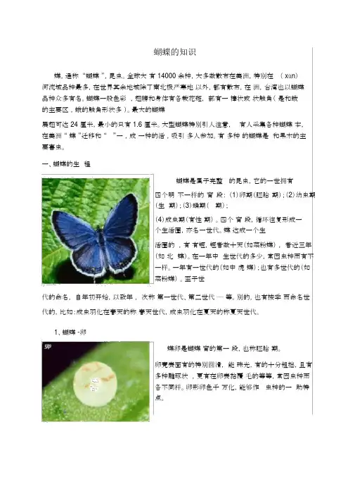 蝴蝶的知识