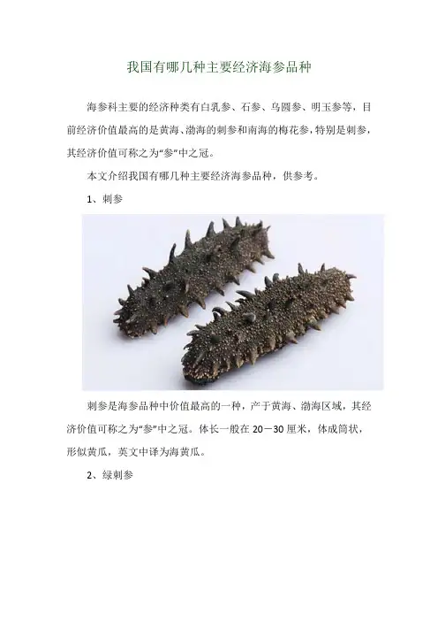 我国有哪几种主要经济海参品种