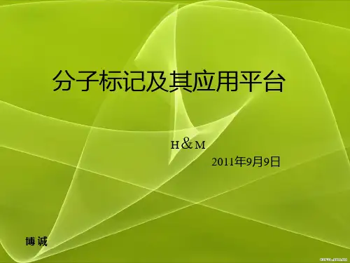 分子标记及应用