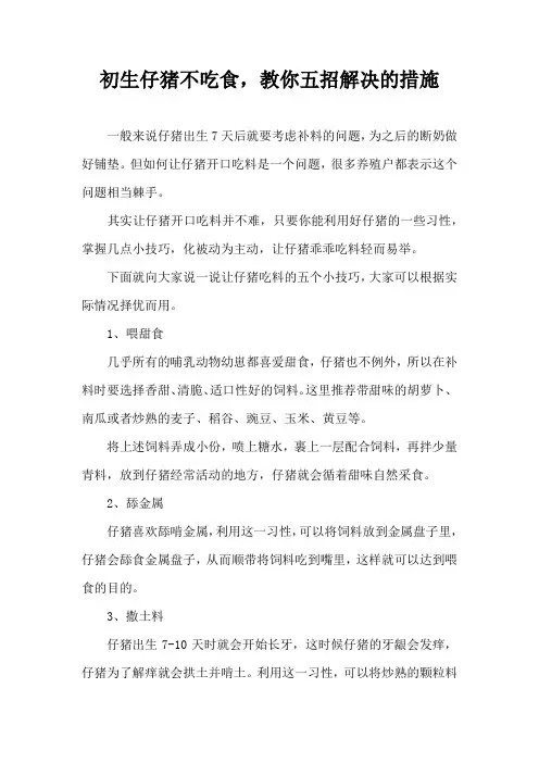 初生仔猪不吃食，教你五招解决措施