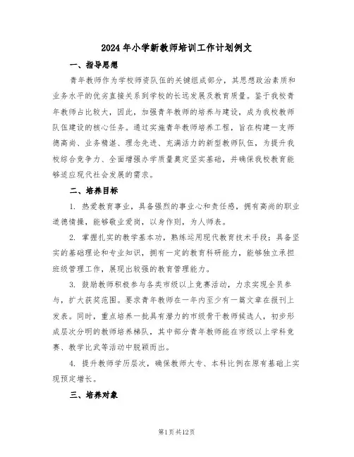 2024年小学新教师培训工作计划例文（五篇）