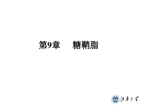 9 第九章 糖鞘脂