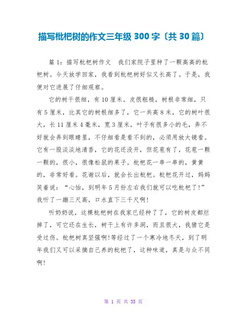 描写枇杷树的作文三年级300字(共30篇)