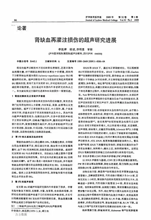 肾缺血再灌注损伤的超声研究进展