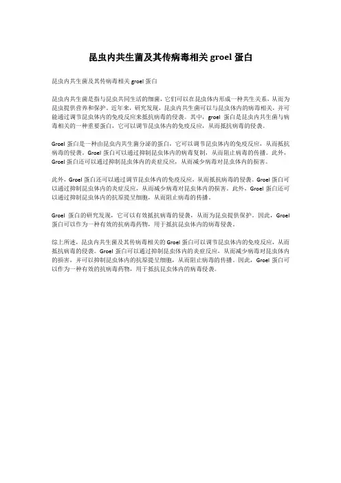 昆虫内共生菌及其传病毒相关groel蛋白