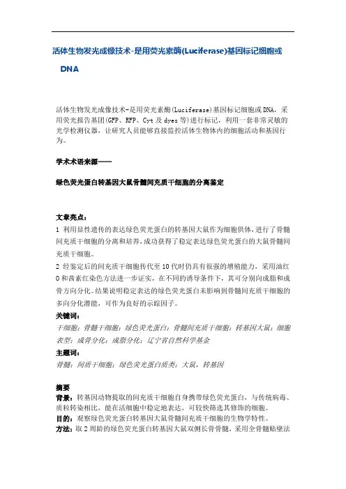 活体生物发光成像技术
