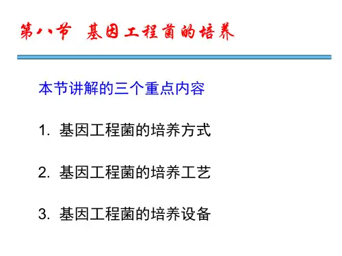 重组工程菌的培养