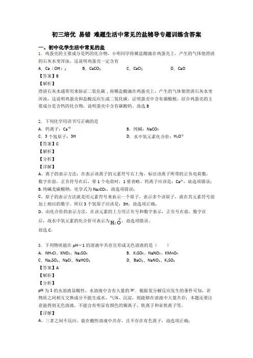 初三培优 易错 难题生活中常见的盐辅导专题训练含答案