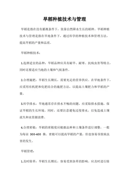 旱稻种植技术与管理
