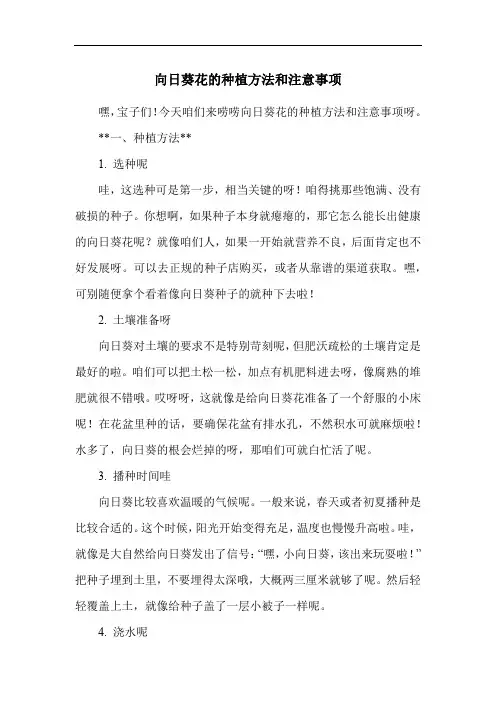 向日葵花的种植方法和注意事项