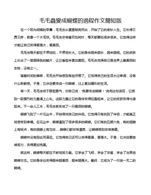 毛毛虫变成蝴蝶的过程作文简短版