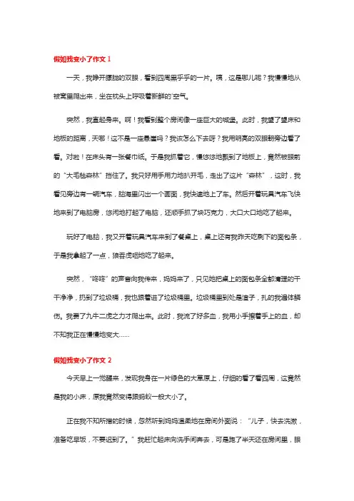 假如我缩小在你袜子里作文
