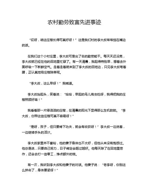 农村勤劳致富先进事迹