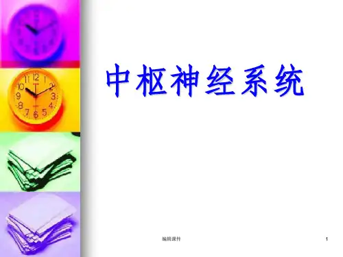 中枢神经系统影像诊断ppt课件