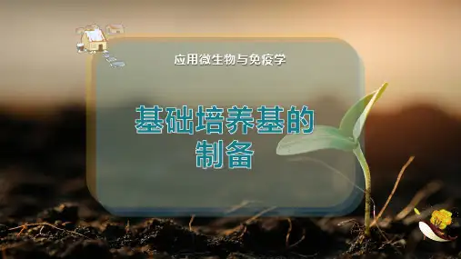 基础培养基的制备