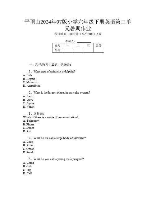 平顶山2024年07版小学六年级下册第14次英语第二单元暑期作业